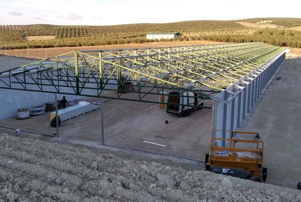 Nave avícola en proceso de construcción de estructura metálica