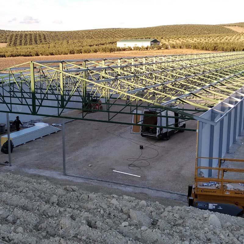 Nave avícola en proceso de construcción de estructura metálica
