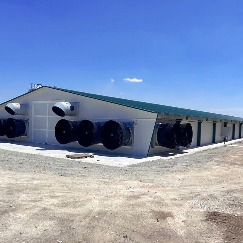 Nave de engorde de pollos en Toledo